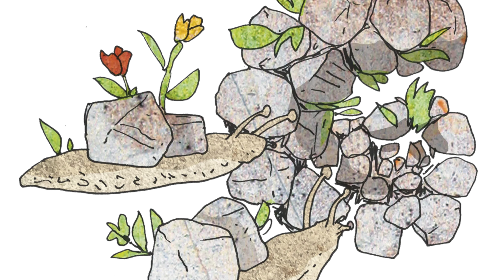 Bilder des Halbjahresprogramms 25/2