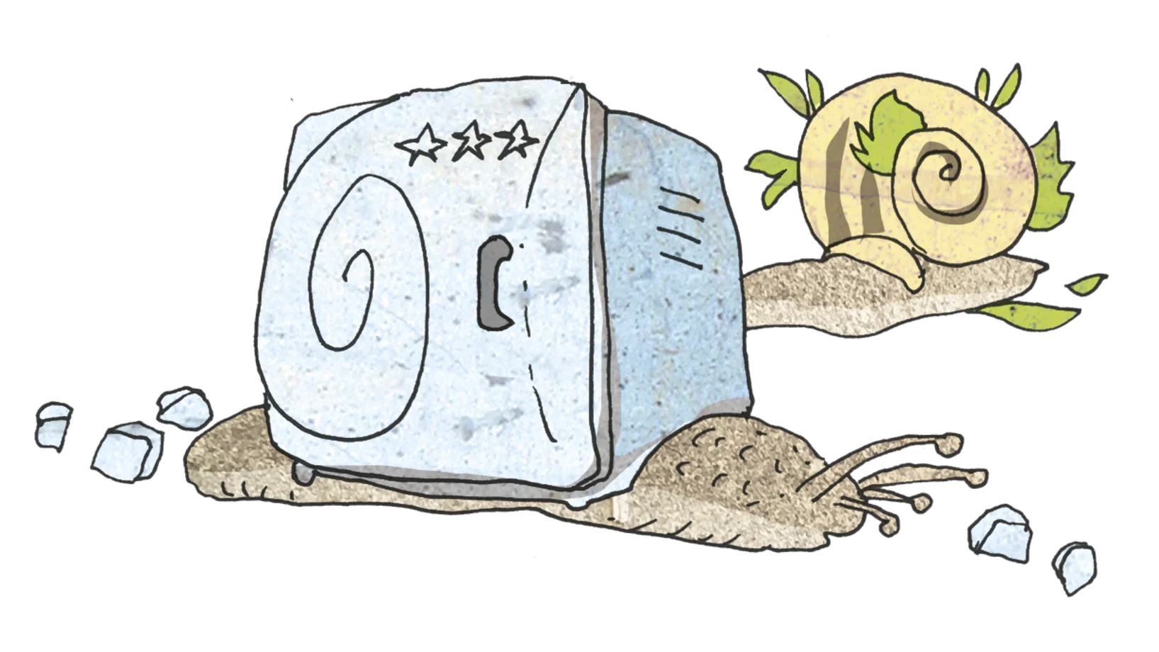 Bilder des Halbjahresprogramms 25/2