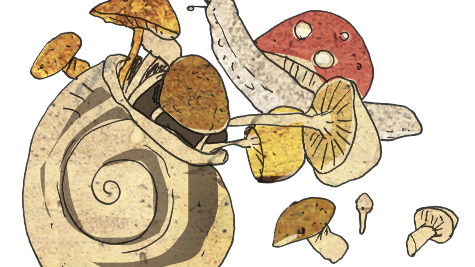 Bilder des Halbjahresprogramms 25/2