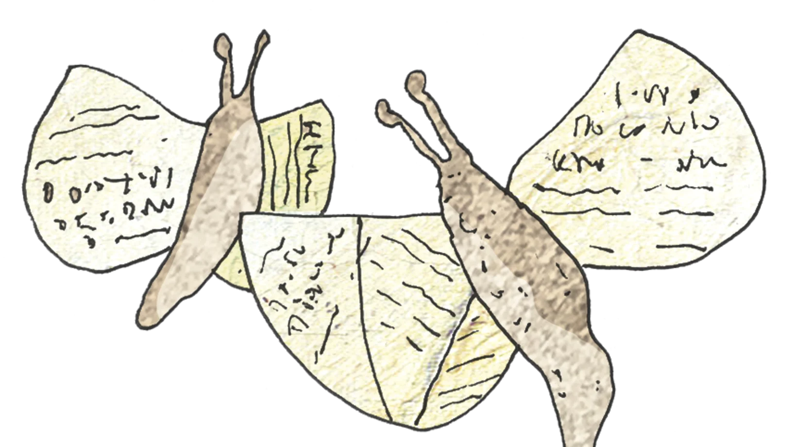 Bilder des Halbjahresprogramms 25/2