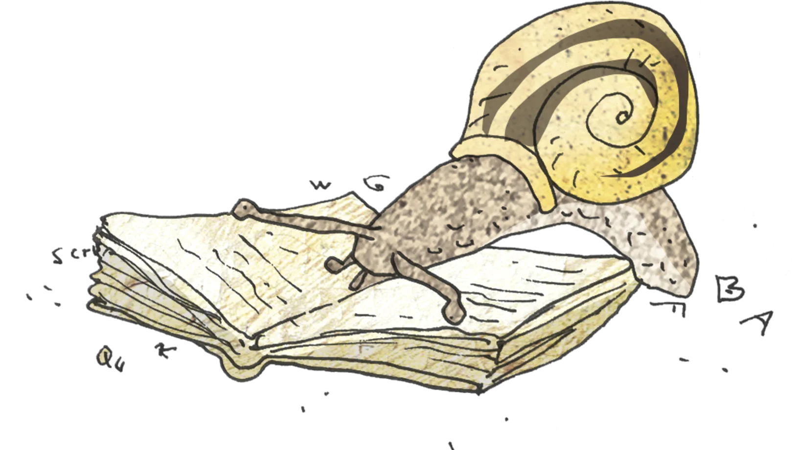 Bilder des Halbjahresprogramms 25/2