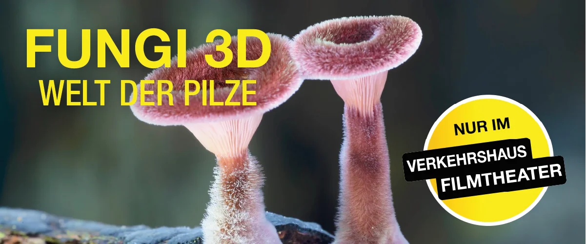 Fungi 3D Banner Fungi 3D
