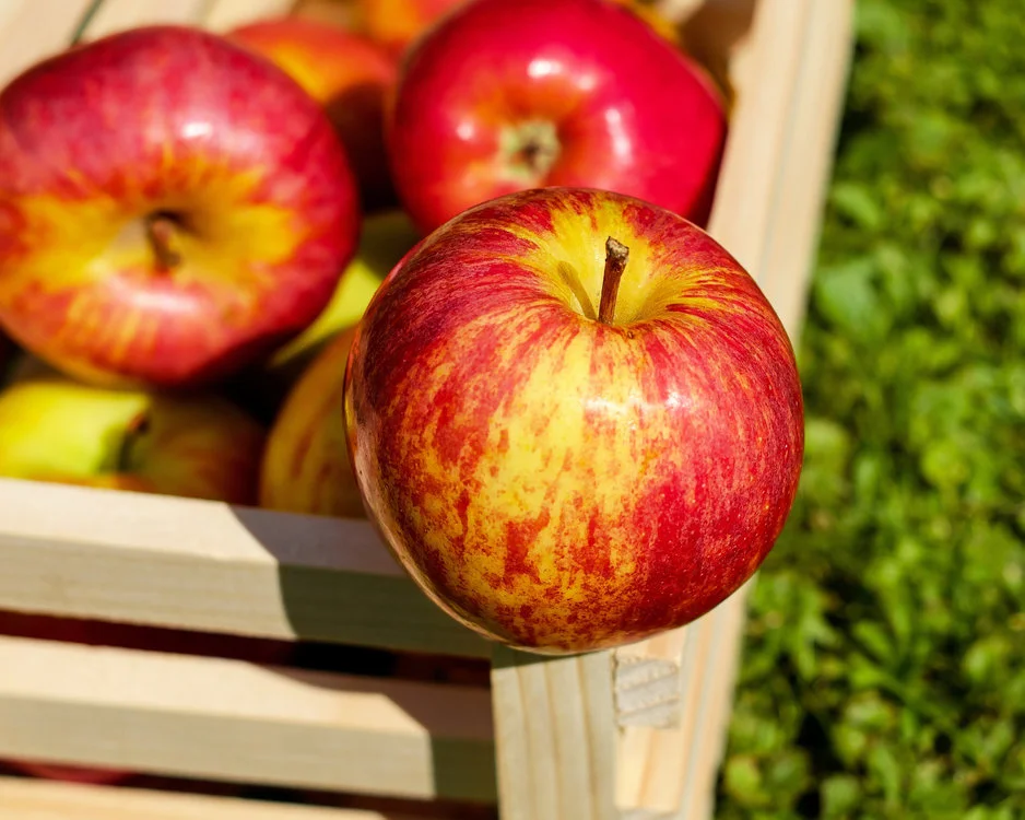 Gwunderstunde: Apfelgeschichten - Mosten